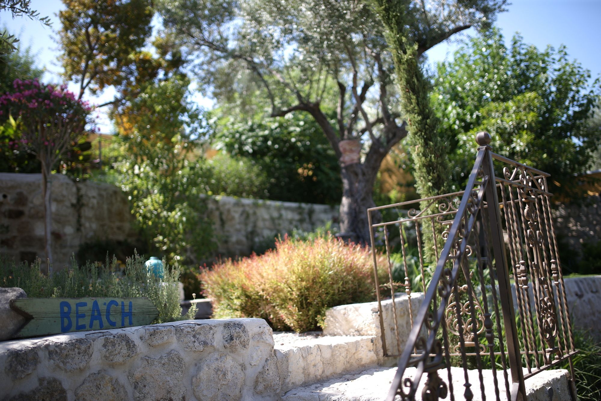 Villa Taraca Alacati Romantik Otel (Adults Only) מראה חיצוני תמונה