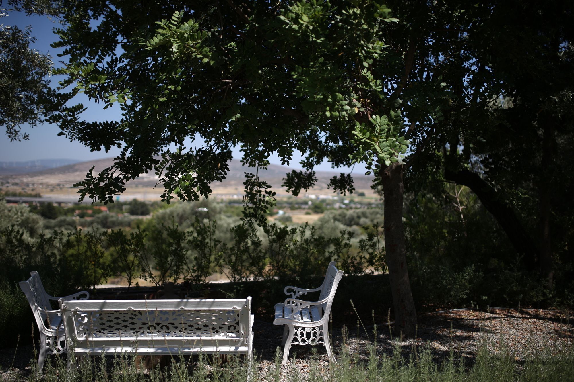 Villa Taraca Alacati Romantik Otel (Adults Only) מראה חיצוני תמונה