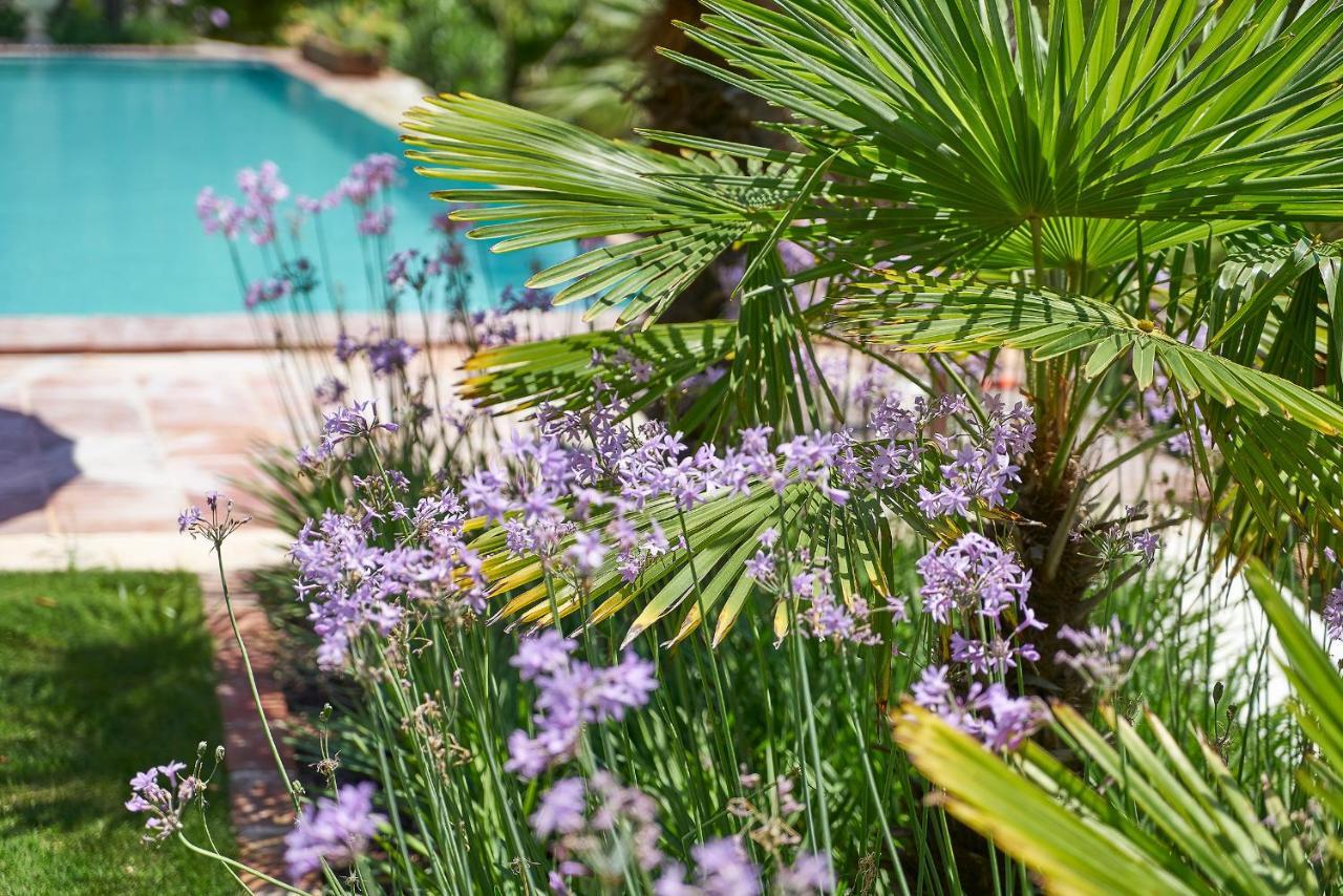 Villa Taraca Alacati Romantik Otel (Adults Only) מראה חיצוני תמונה
